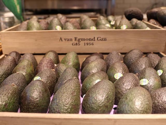 column_d93a236a9c76d82ca253479e74ffc244.