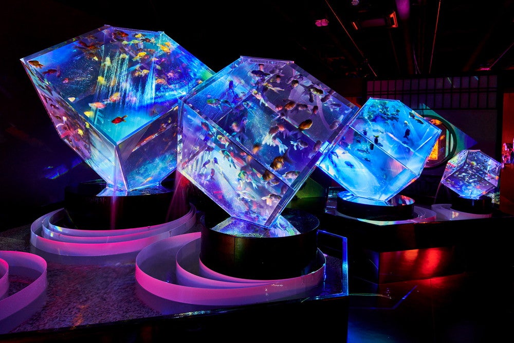 セキテイリウム／画像提供：アートアクアリウム展大阪実行委員会