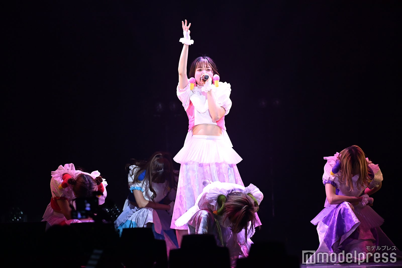 豆柴の大群（C）モデルプレス