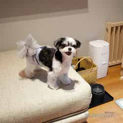 Dear Wan Spa Garden(C)モデルプレス