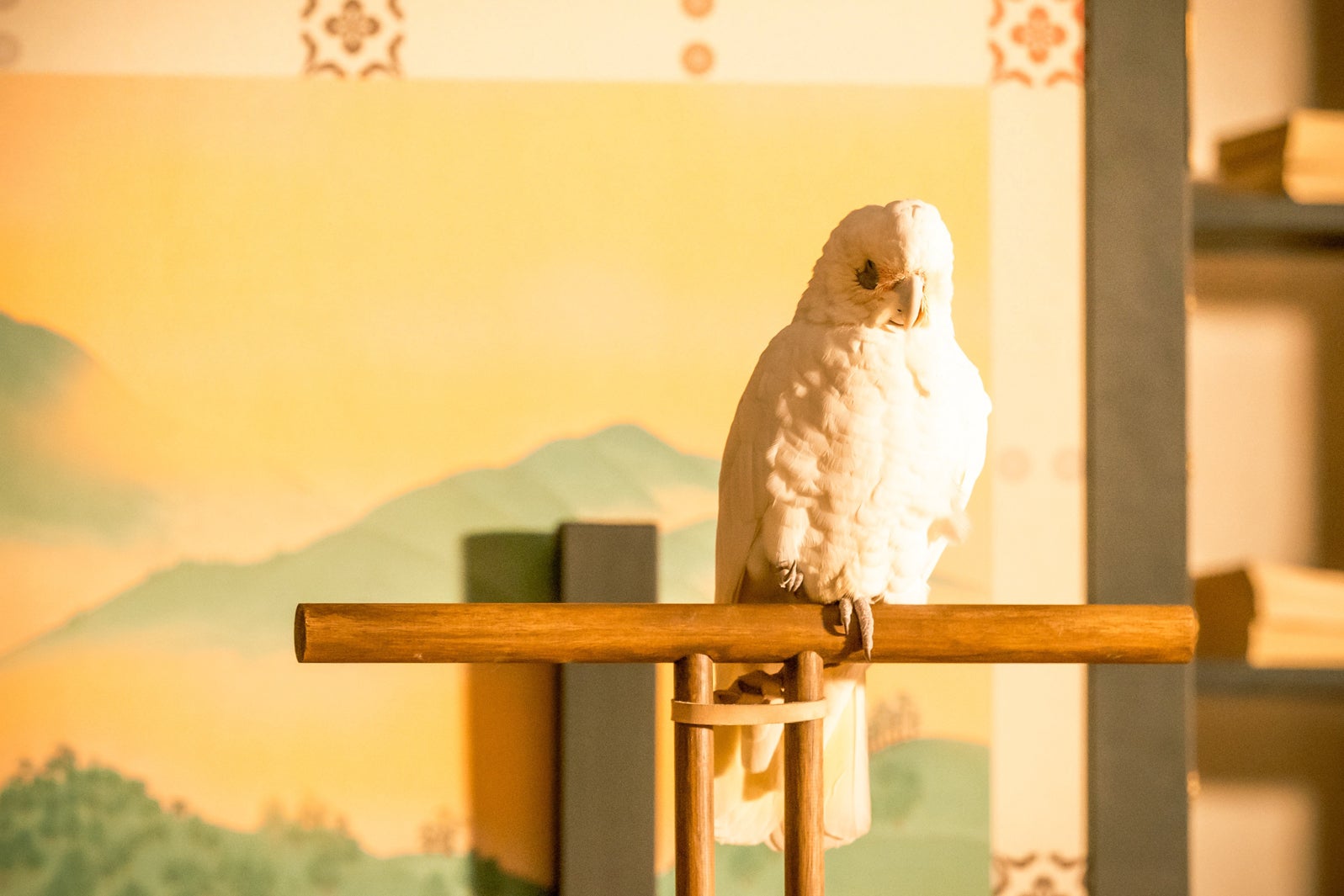 「光る君へ」第27話（C）NHK