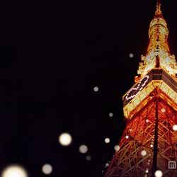 東京タワー クリスマス・ライトダウンストーリー／画像提供：東京タワー