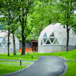 ホワイトランプ/画像提供:YUTAKA RESORT