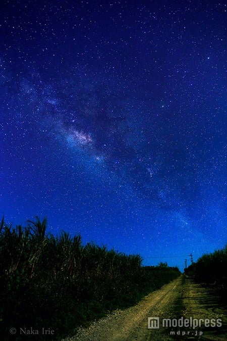 月明かりのキビと天の川／画像提供：沖縄観光コンベンションビューロー、撮影者：入江中