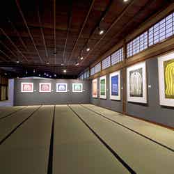 第5展示室 南瓜の間/画像提供:フォーエバー現代美術館 祇園・京都