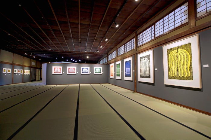 第5展示室 南瓜の間/画像提供:フォーエバー現代美術館 祇園・京都