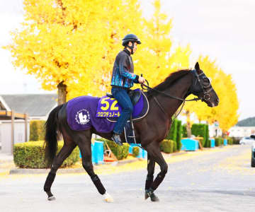 クロワデュノールは大阪杯へ