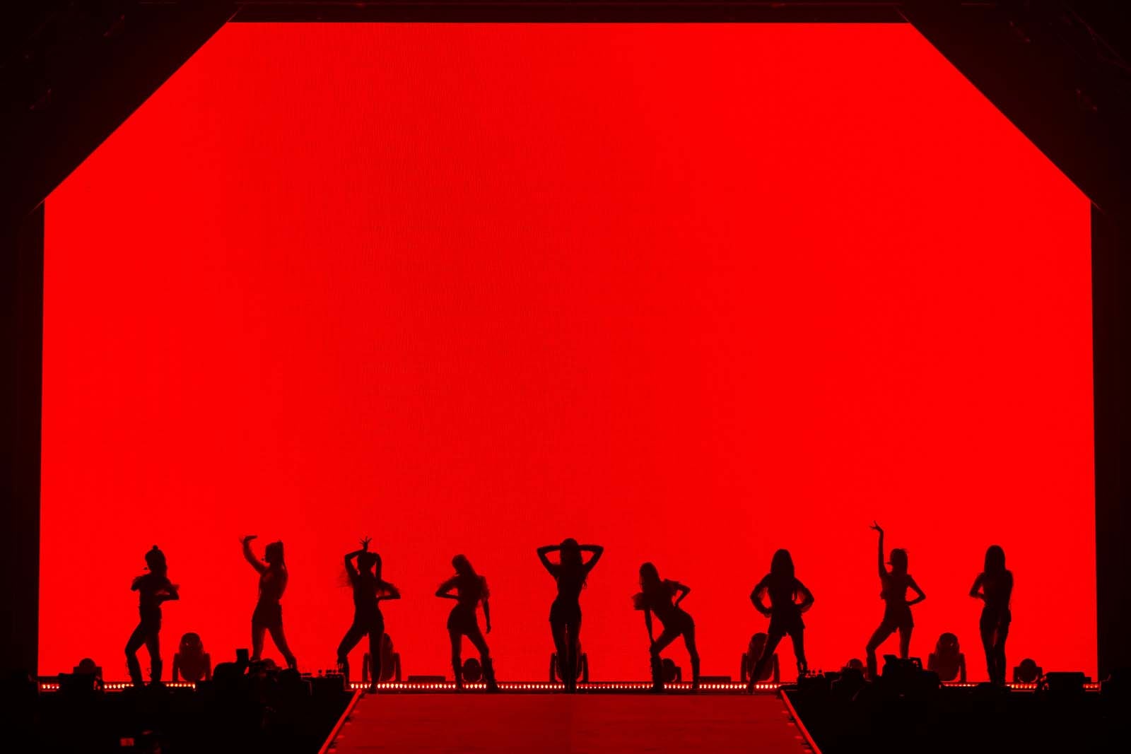 Kep1er／撮影：上山陽介、木村泰之（提供写真）