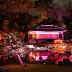 【香雲亭】ライトアップ/提供画像