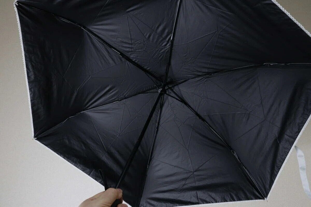 開いた黒い折りたたみ傘の内側を手に持っている