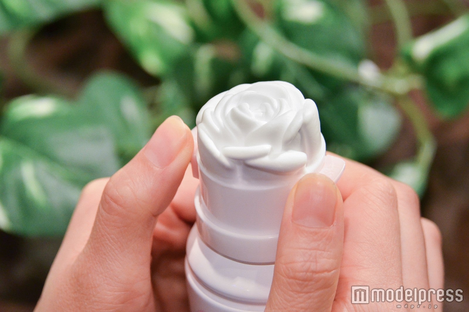 3ｃｍほど出たら止める（C）モデルプレス