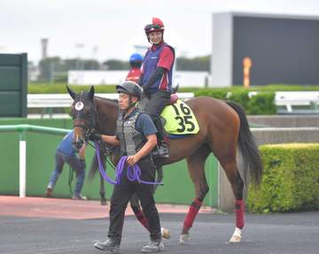 【函館2歳S】シグレ 2歳重賞一番星だ 新馬戦からさらに成長 陣営「落ち着いてきていい雰囲気」