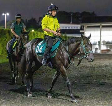 【新馬戦】キリマンジェロタフ 筋骨隆々520キロ超 雄大なフットワークが魅力