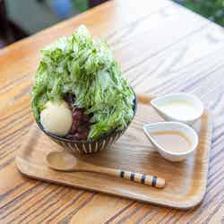 まるごと抹茶かき氷880円/提供画像