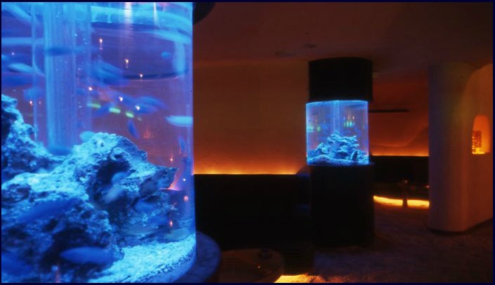 ほどよく明かりのついた店内と水槽がとてもロマンティック／「deep blue yokohama」オフィシャルサイトより