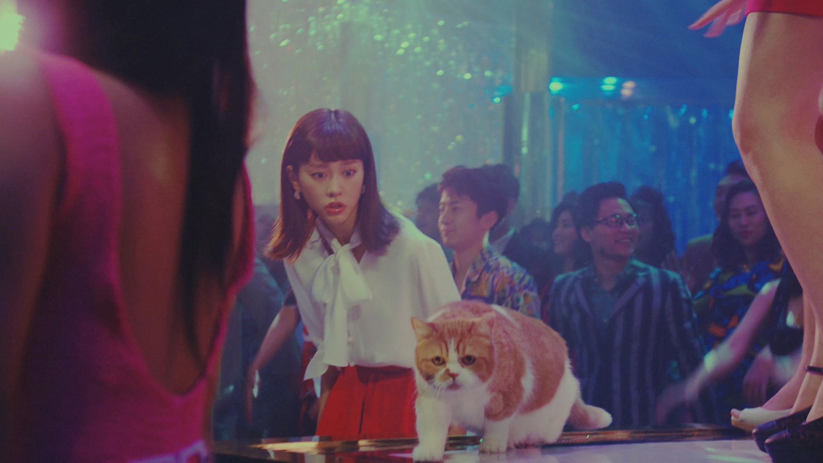 桐谷美玲／新CMより