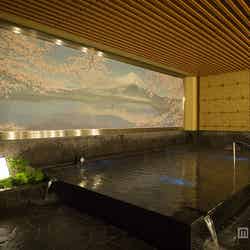 新宿に誕生する「テルマー湯」／露天風呂「神代の湯」／画像提供：シー・エヌ・エス【モデルプレス】