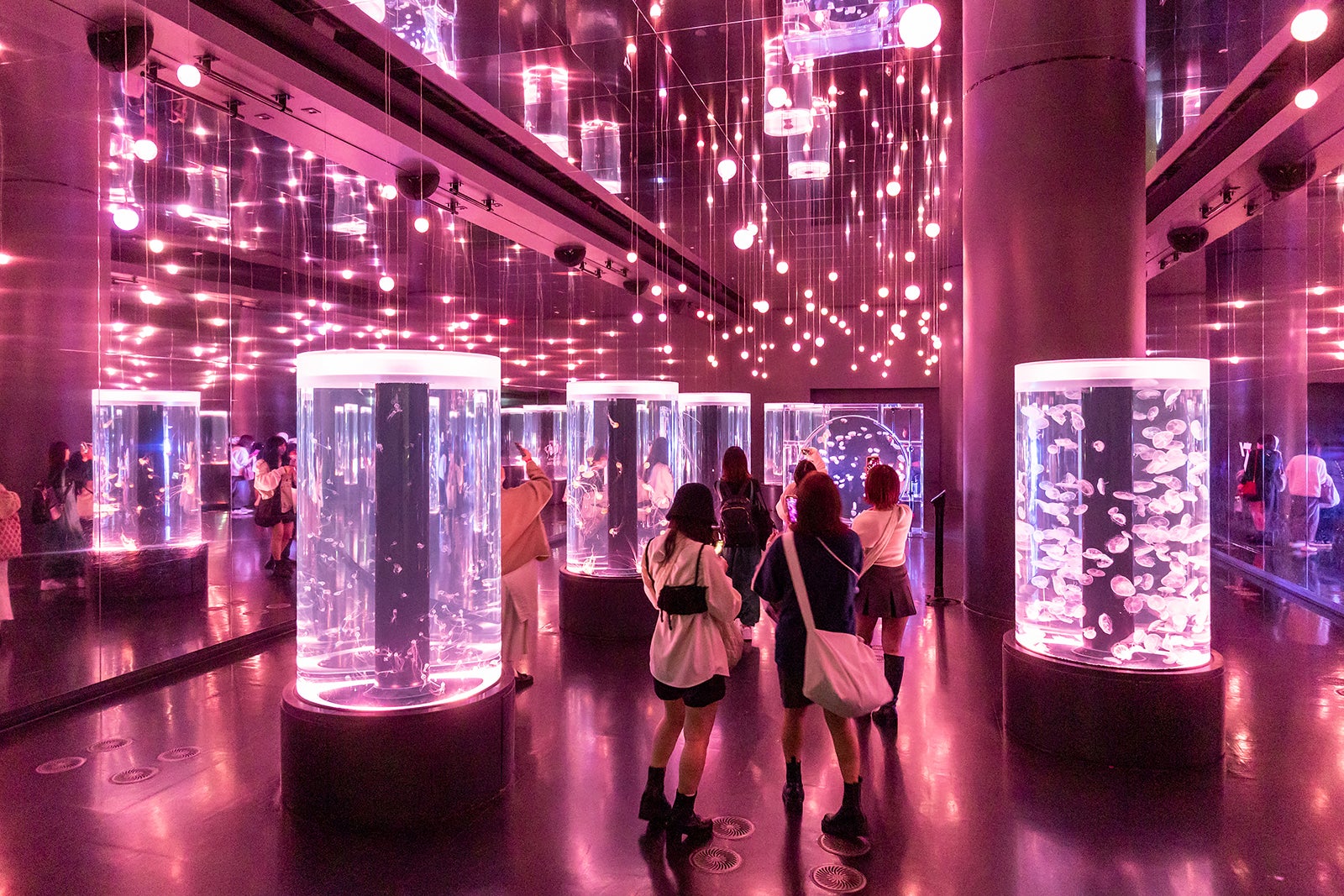 SEVENTEEN 'FOLLOW' THE CITY NIGHT AQUARIUM（C）HYBE JAPAN