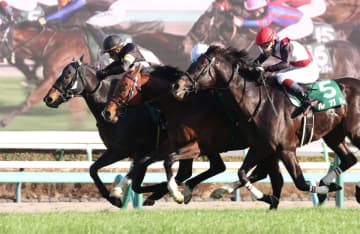 【オーシャンS】イン突きさく裂！7番人気ペアポルックスが重賞初制覇 岩田康「あいていましたね。腹をくくって、脚を信じていました」