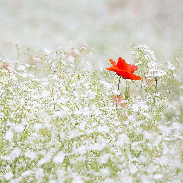 心にグッとくる偉人の 短い名言 まとめ 日本 世界の素敵な言葉たち モデルプレス 心にグッとくる偉人の 短い名言 まとめ 日本 世界の素敵な言葉たち モデルプレス