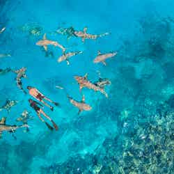 アナンタラ・ヴェリ・モルディブ・リゾート/提供画像