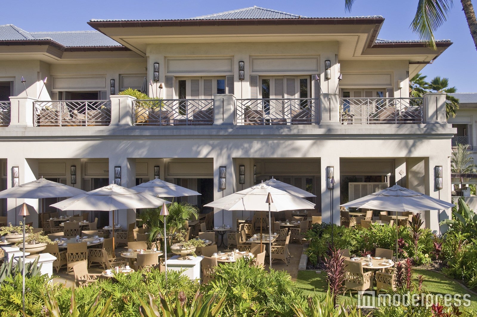 OML オーキッドコート・レストラン／画像提供：JTBワールドバケーションズ