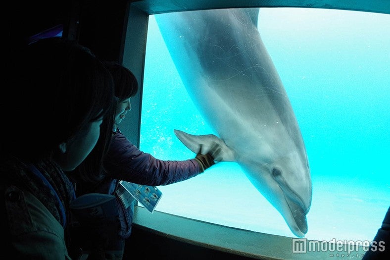 ロッキーワールド・ナイトステイ／画像提供：グランビスタ ホテル＆リゾート