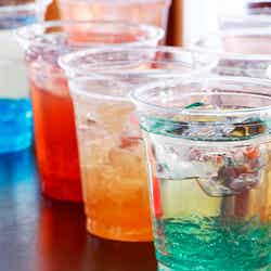 虹の花まつり/画像提供:富士急行