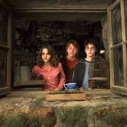 「ハリー・ポッターとアズカバンの囚人」TM ＆ （c） 2004 Warner Bros. Ent. , Harry Potter Publishing Rights （c） J.K.R.