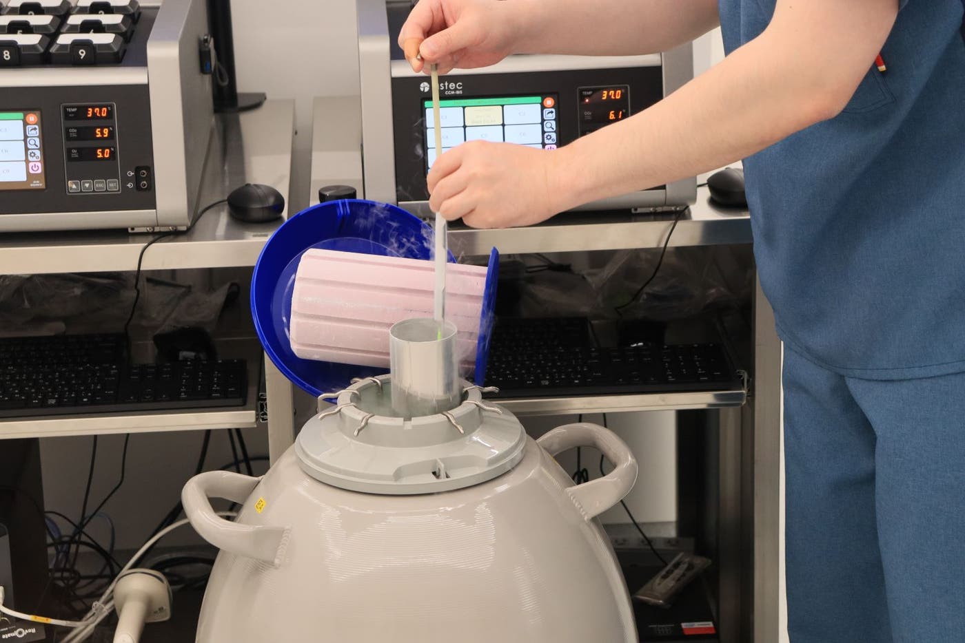 「卵子凍結」の様子