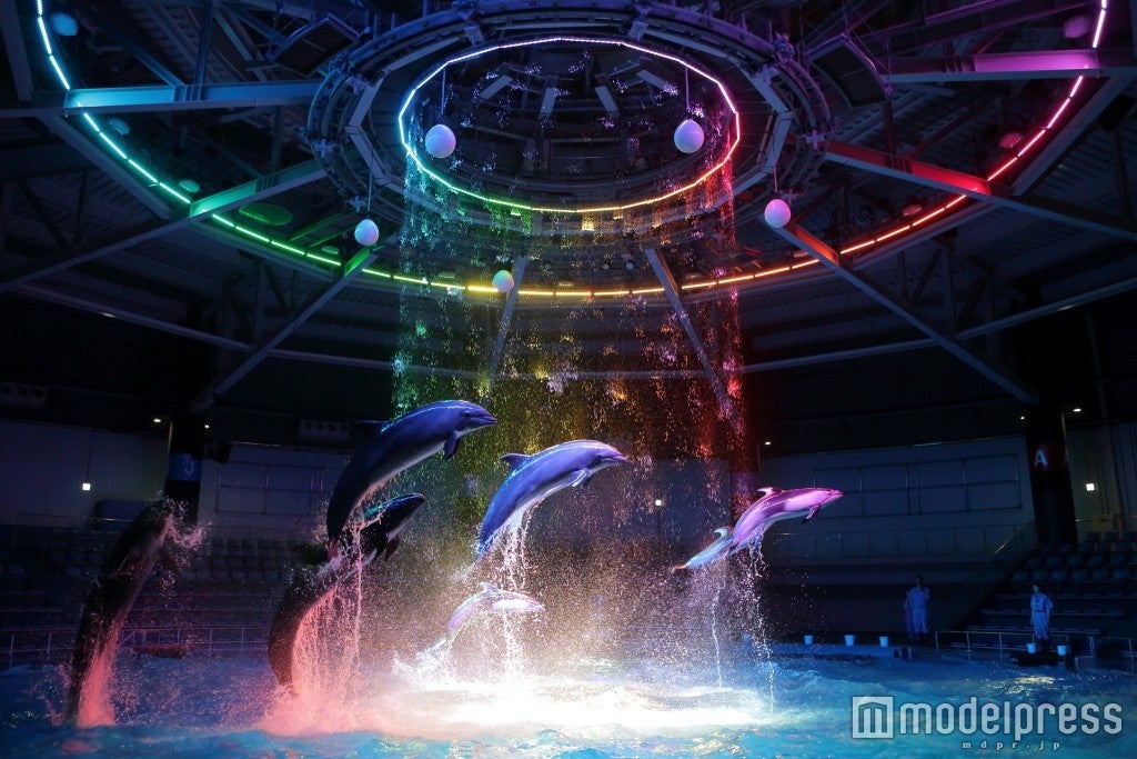 ナイトパフォーマンス「花宴（はなのえん）」／画像提供：横浜八景島