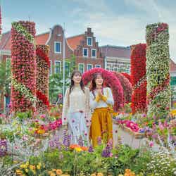 ミッフィーセレブレーション/提供画像