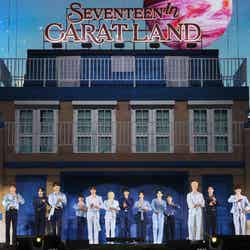 SEVENTEEN(P)&(C)PLEDIS Entertainment