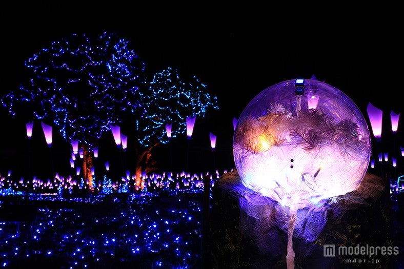 ヒカリのボール／画像提供：マザー牧場