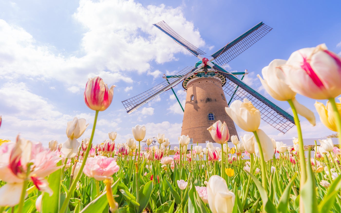 4月5日～4月11日の週間運勢占いランキング！ 1位の星座は…？