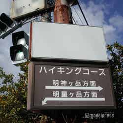 ホテル近隣のハイキングコース(C)モデルプレス