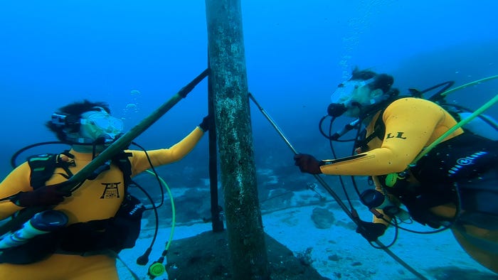 サンシャイン池崎&當間ローズ(C)TBS