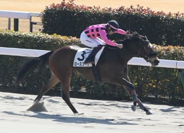 【新馬戦】ローズブーケ 鮮烈差し切りV 横山武「内容のあるレースができた」今後は距離延長も視野