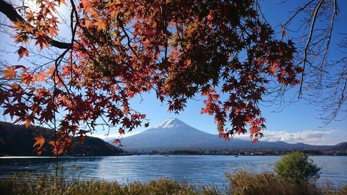 紅葉と富士山が楽しめる河口湖(2017年11月12日撮影)