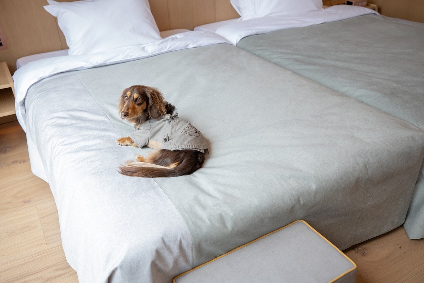 リトナ箱根／提供画像