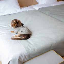 リトナ箱根/提供画像