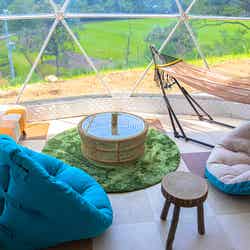 ほけだけグランピング~和泉の毬花~/提供画像