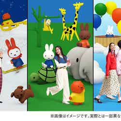 ミッフィーのドリームストーリーブック/提供画像