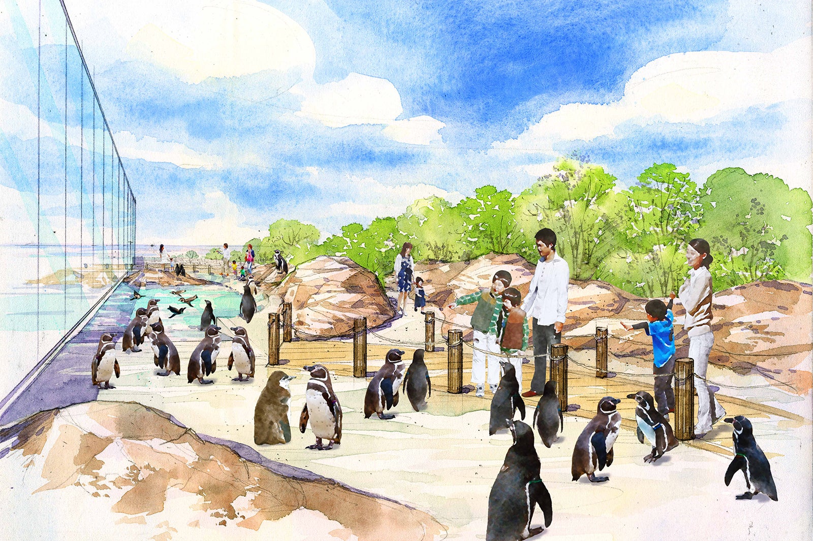 マゼランペンギンエリア／画像提供：横浜八景島