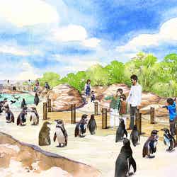 マゼランペンギンエリア/画像提供:横浜八景島