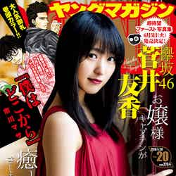 「週刊ヤングマガジン」20号 表紙：菅井友香（C）LUCKMAN／ヤングマガジン