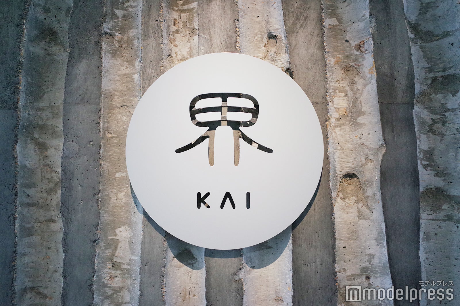 界 ポロト（C）モデルプレス