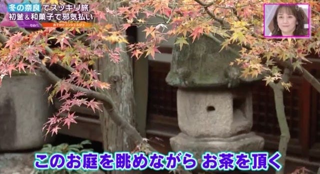 【奈良】日本庭園が映えると話題♡