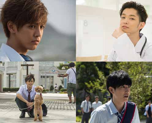片寄涼太はラブラドール?千葉雄大はダックスフンド?「兄こま」は“犬顔男子”にも注目