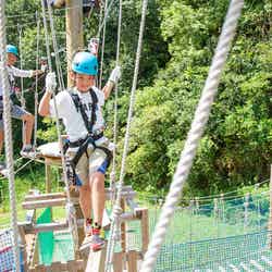 県民の森に設置する、ツリーアドベンチャーのイメージ/提供画像